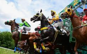 ม้าแข่งระดับโลกกับ ufabet: สุดยอดประสบการณ์เดิมพันกีฬาที่ผสมผสานความเร็วและกลยุทธ์